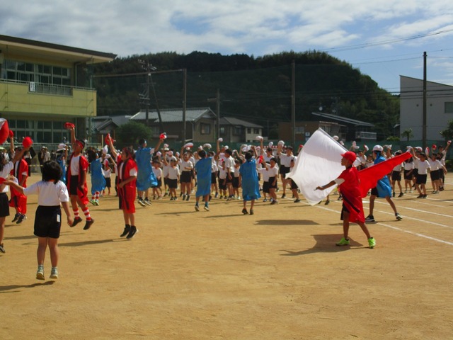 IMG_2927.jpg