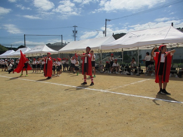 IMG_2953.jpg