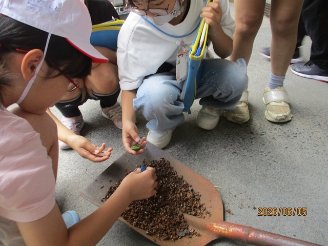 IMG_2887.jpg