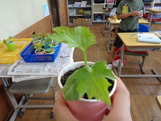 DSC03228.jpg