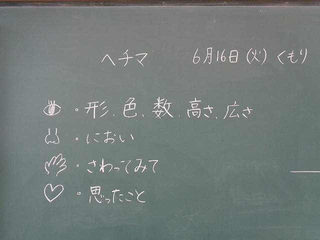 DSC03230.jpg