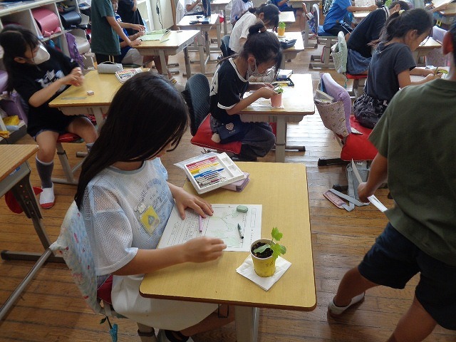 DSC03232.jpg