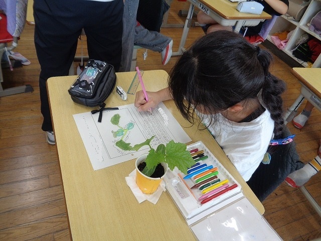 DSC03235.jpg