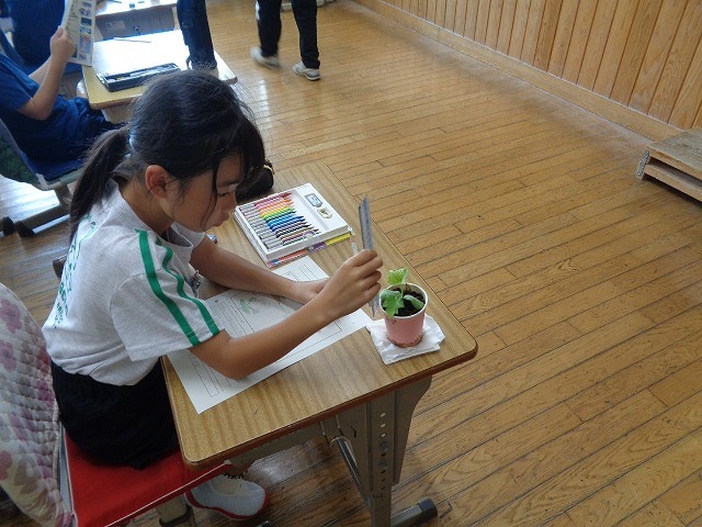 DSC03245.jpg