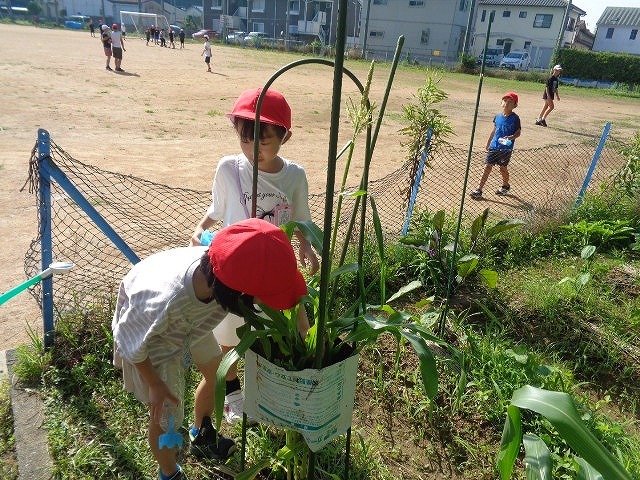 DSC03268.jpg