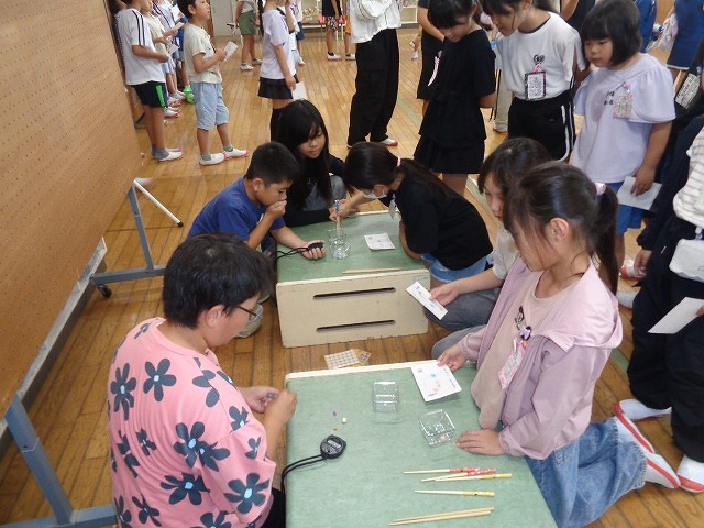 DSC03378.jpg
