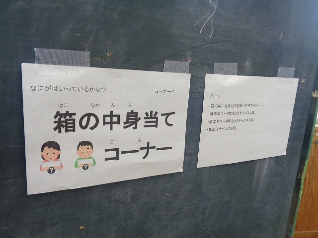 DSC03384.jpg
