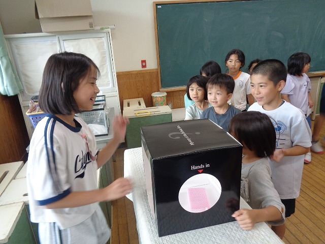 DSC03387.jpg