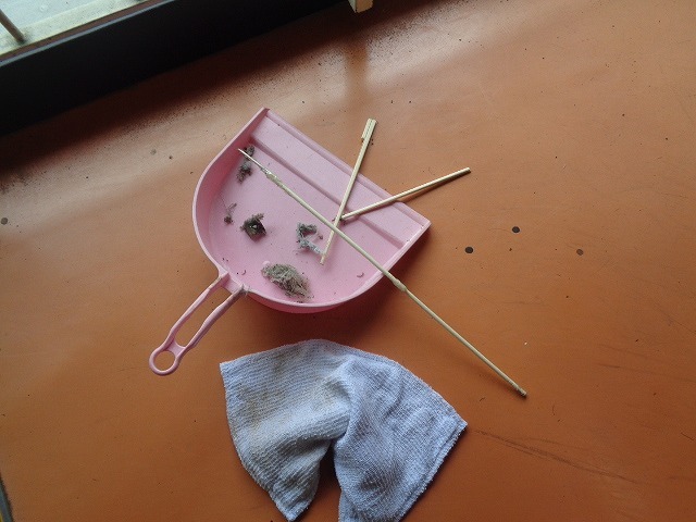 DSC03695.jpg