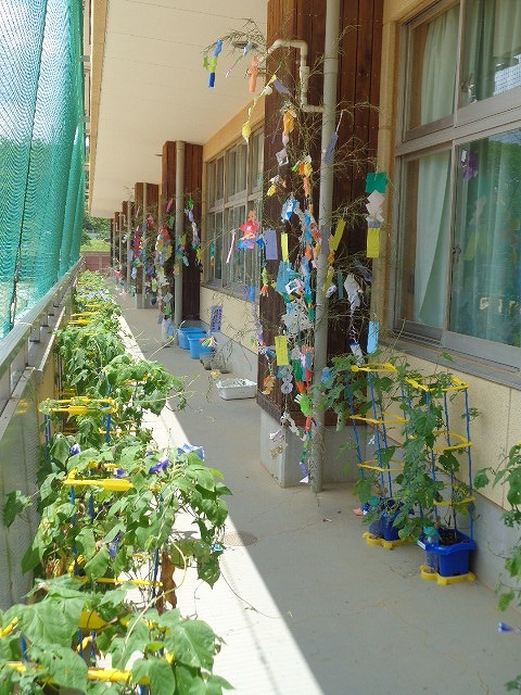 DSC03847.jpg