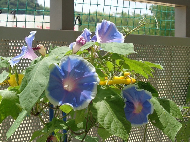 DSC03850.jpg