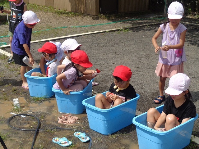 DSC03958.jpg