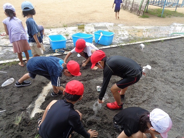 DSC03976.jpg