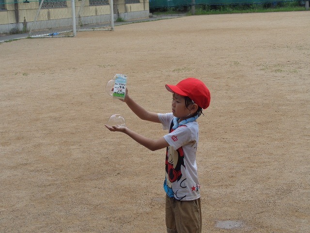 DSC03984.jpg