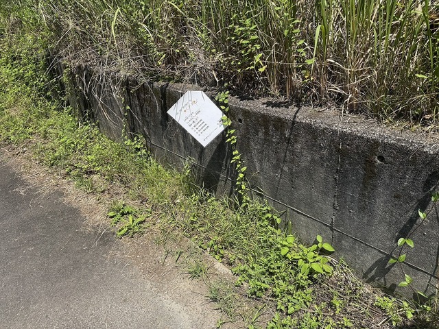 1784085097734.jpg