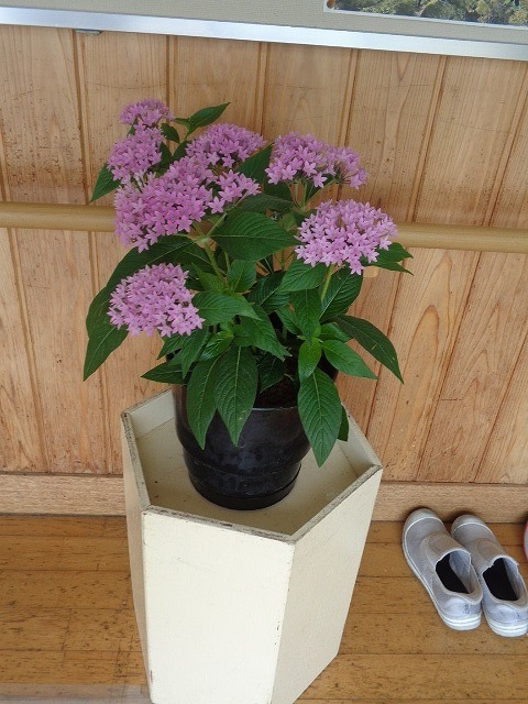 DSC04167.jpg