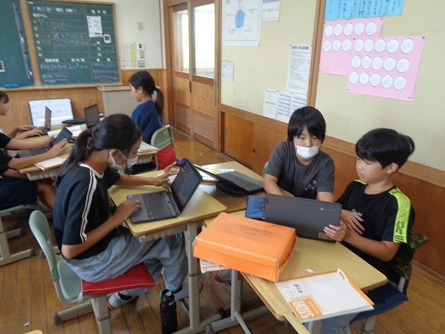 DSC04211.jpg