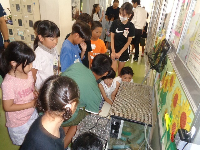 DSC04347.jpg