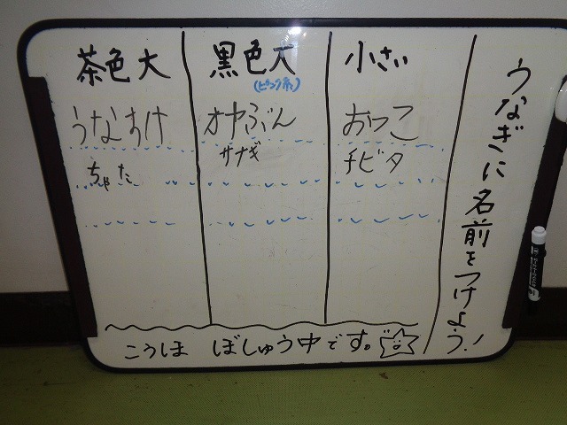 DSC04531.jpg