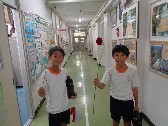DSC04545.jpg