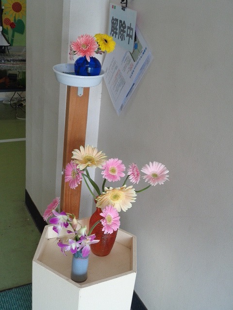DSC04546.jpg