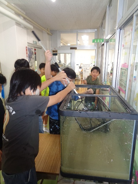 DSC04785.jpg