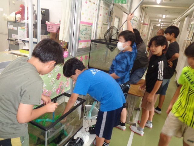 DSC04786.jpg