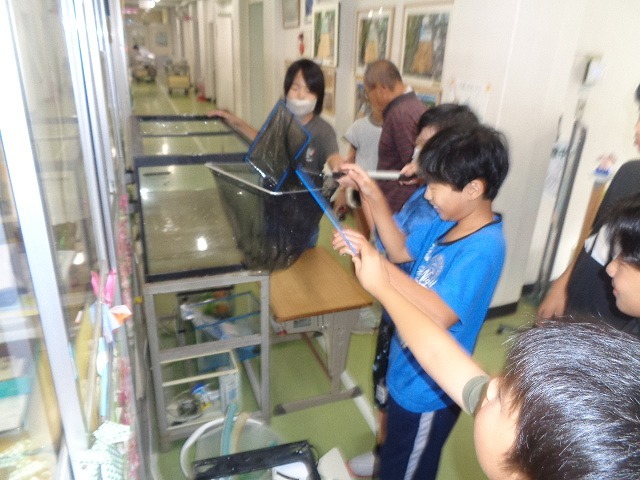 DSC04789.jpg