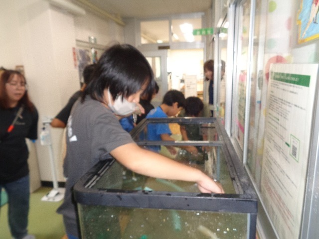 DSC04790.jpg