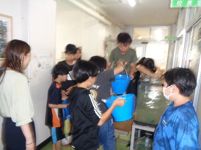 DSC04806.jpg