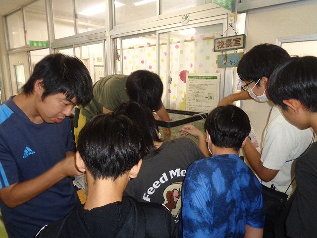 DSC04813.jpg