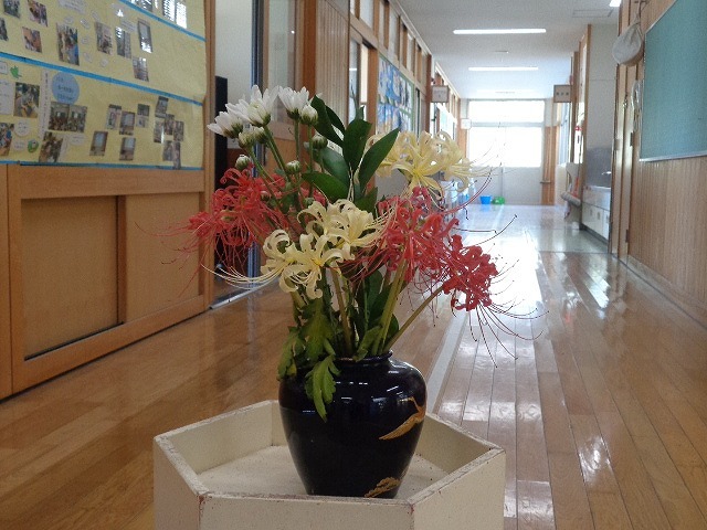DSC04916.jpg