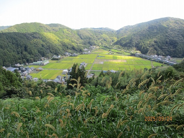 IMG_0067.jpg