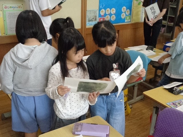 DSC05161.jpg