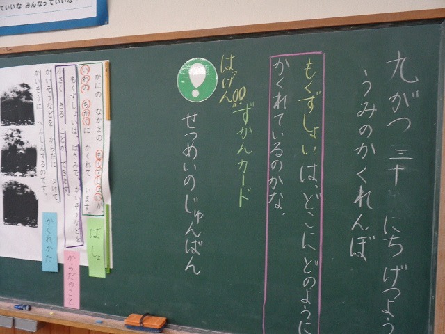 DSC05183.jpg