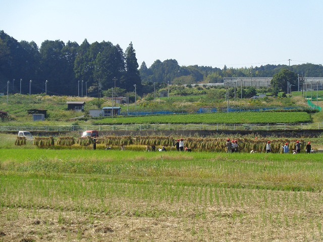 DSC05461.jpg
