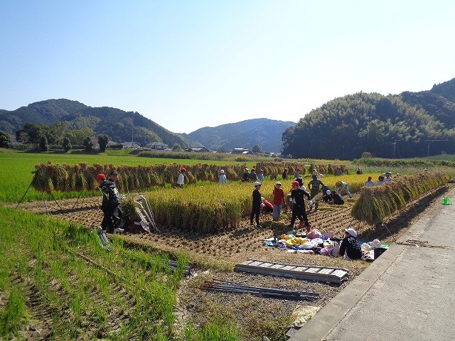 DSC05462.jpg