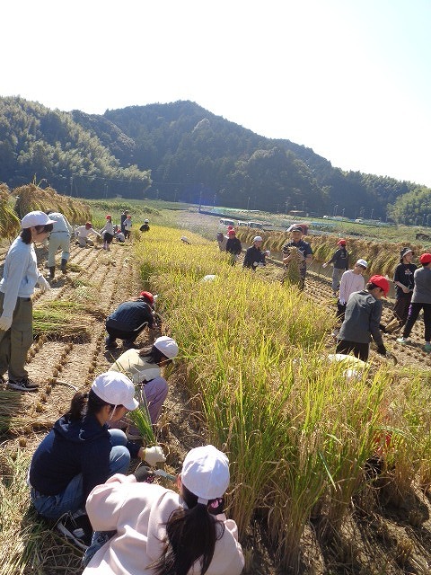 DSC05483.jpg