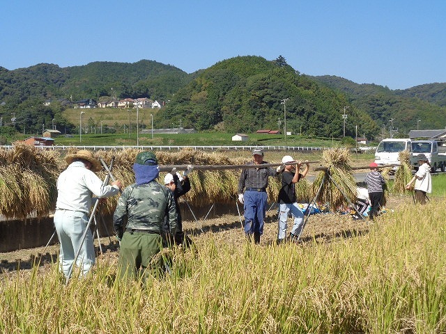 DSC05506.jpg