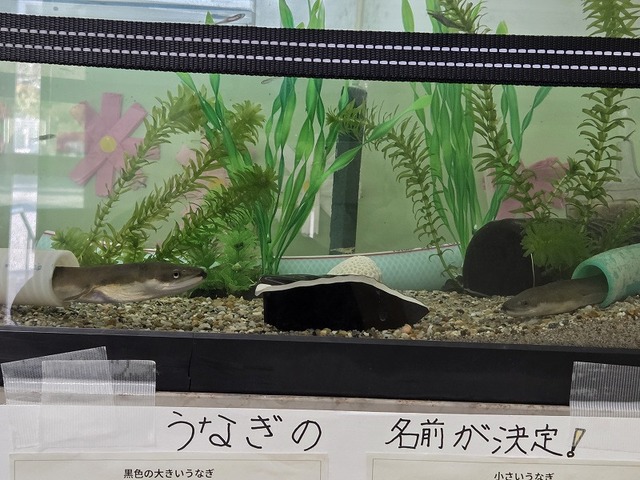 20261016_072913.jpg