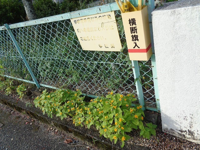 DSC05712.jpg